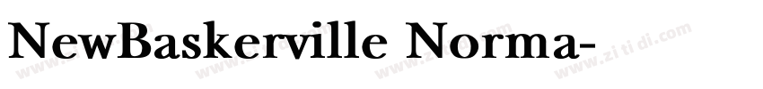 NewBaskerville Norma字体转换